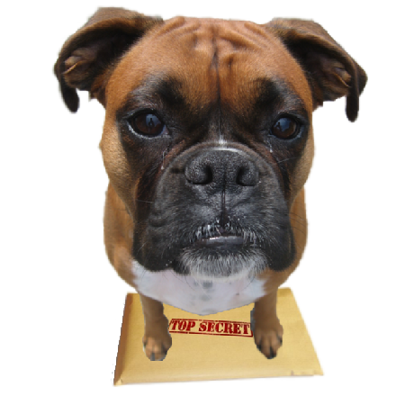 Zur Mailboxx